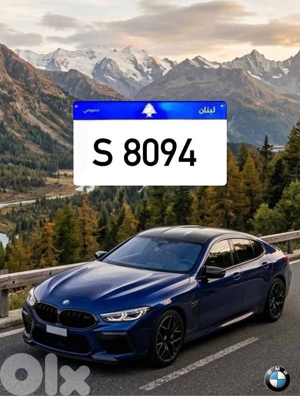S 8094 0