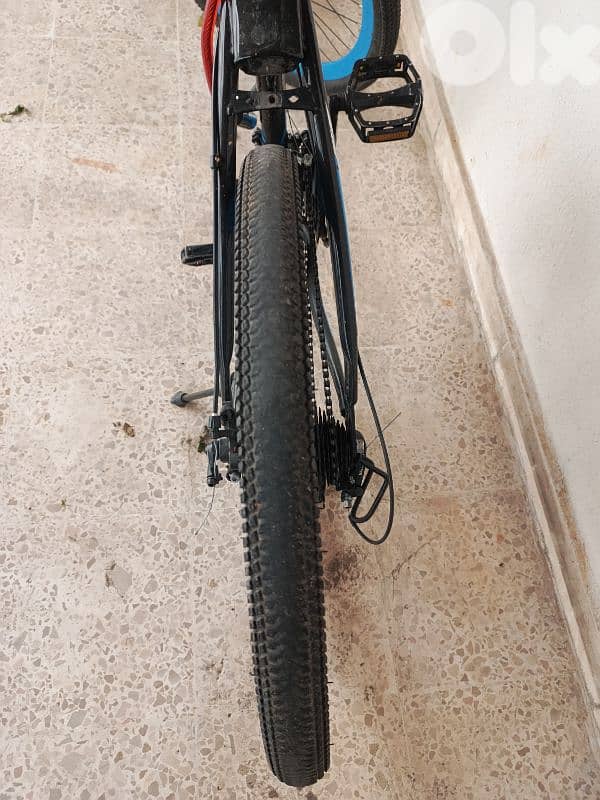 26 inch 1