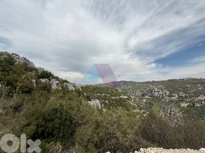 34800m2 land+mountain view 4sale in Faytroun - أرض للبيع في فيطرون
