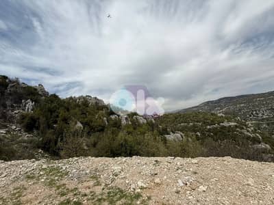 34800m2 land+mountain view 4sale in Faytroun - أرض للبيع في فيطرون