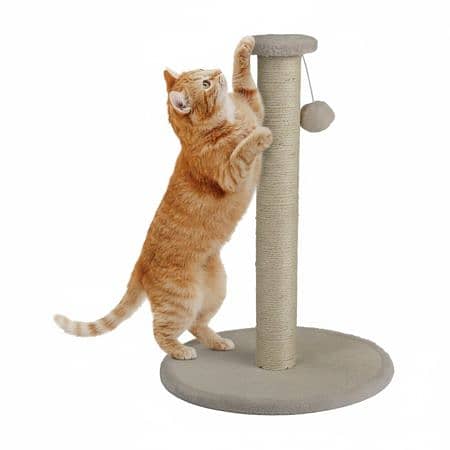 Zoofari Cat Scratching Tree 38 x 54 CM 0