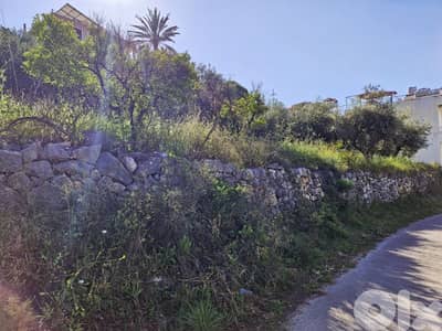 Land for sale in Hboub أرض للبيع في حبوب