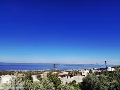 Land for sale in Hboub أرض للبيع في حبوب