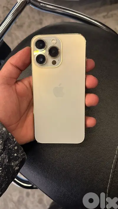 13 pro