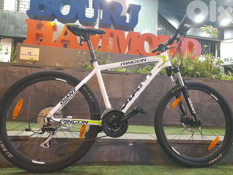 home bike 8