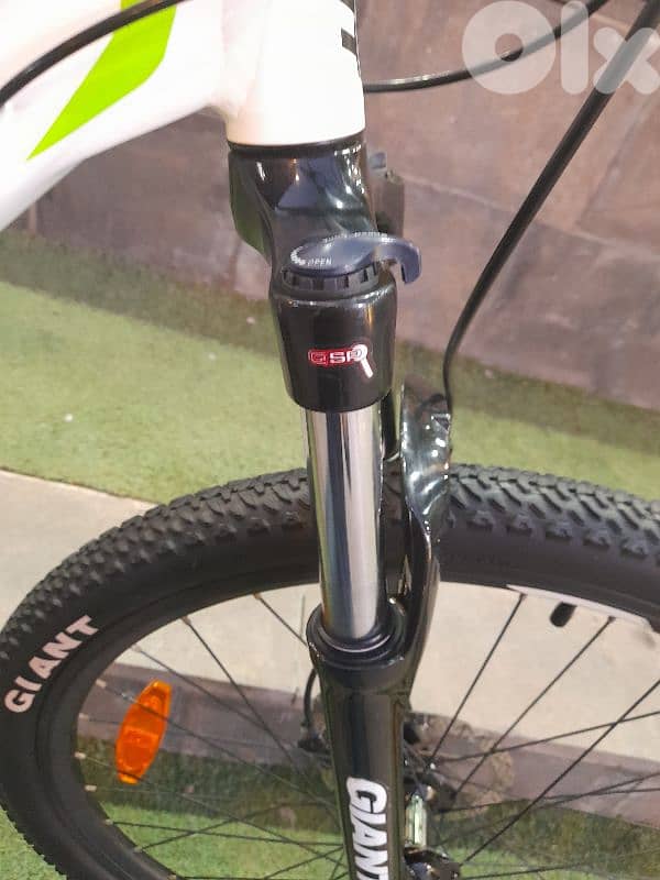 home bike 10