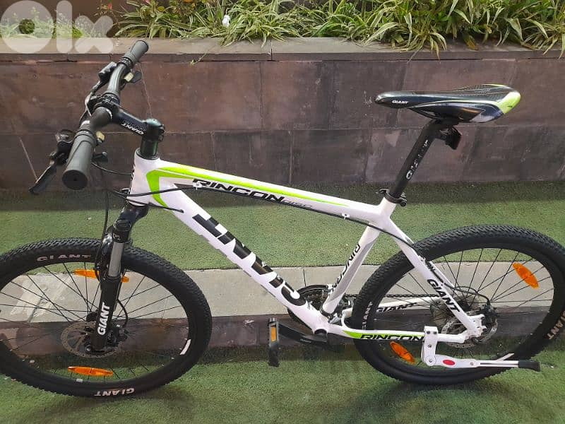home bike 11