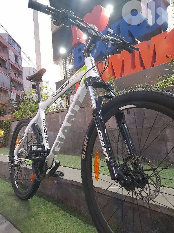 home bike 12