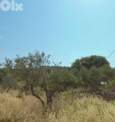 Land For Sale in Monsef - 3105 sqm  - Investment Opportunity