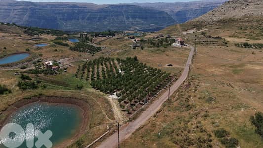 L21145 - Great Investment Opportunity! Land For Sale in Laqlouq, Jbeil