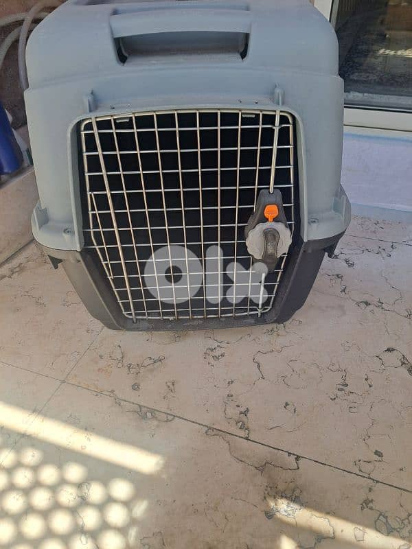dog cage 1