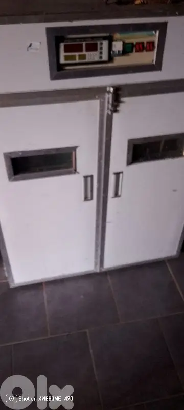full automatic 880 eggs incubator