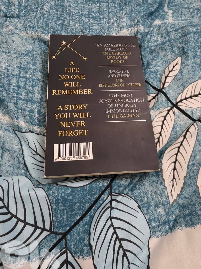 The Secret Life of Addie LaRue by VE SCHWAB 3