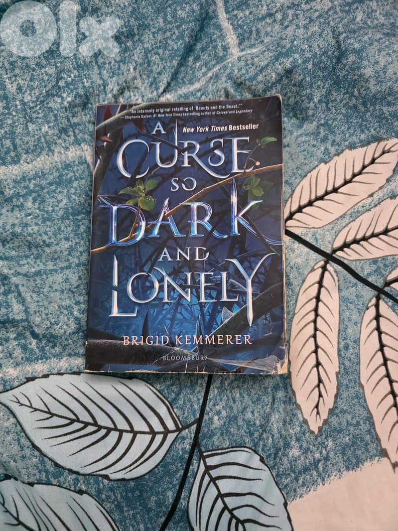 Title: A Curse So Dark and Lonely Author: Brigid Kemmerer 0