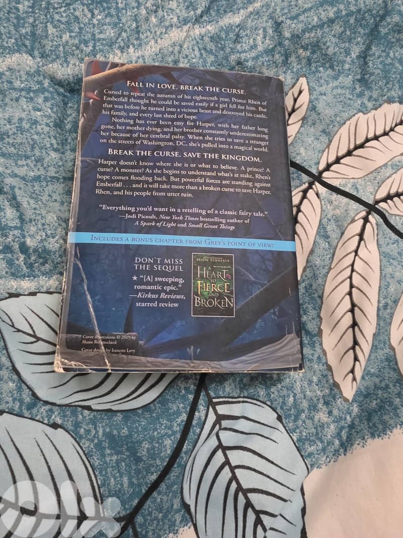 Title: A Curse So Dark and Lonely Author: Brigid Kemmerer 1