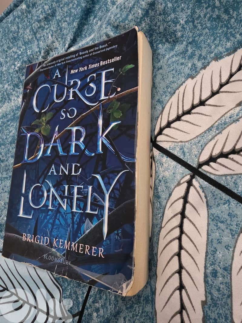 Title: A Curse So Dark and Lonely Author: Brigid Kemmerer 2