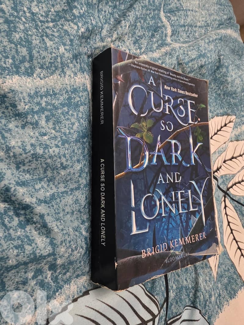 Title: A Curse So Dark and Lonely Author: Brigid Kemmerer 3