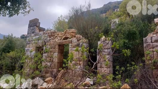old stone house for sale in Douma بيت حجر قديم للبيع في دوما