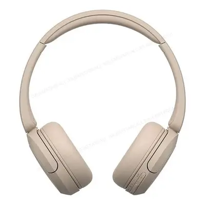 Sony WH-CH520 Headphones