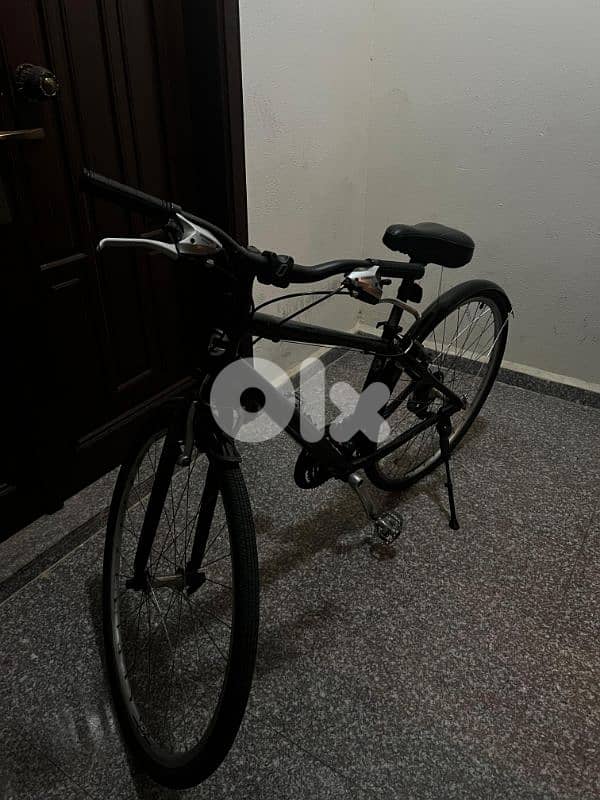 Italian Bike 0