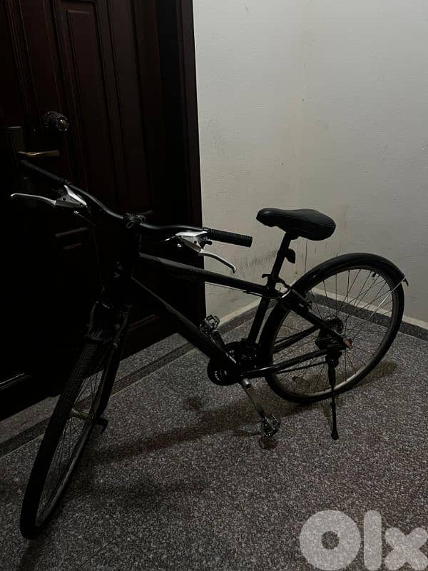 Italian Bike 5
