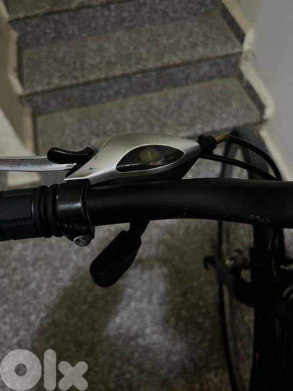 Italian Bike 6