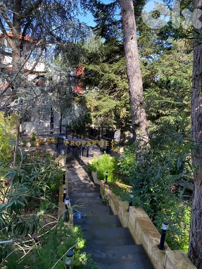 Rare Villa for sale Hamlaya Ref#EB104  فيلا حصرية في هملايا