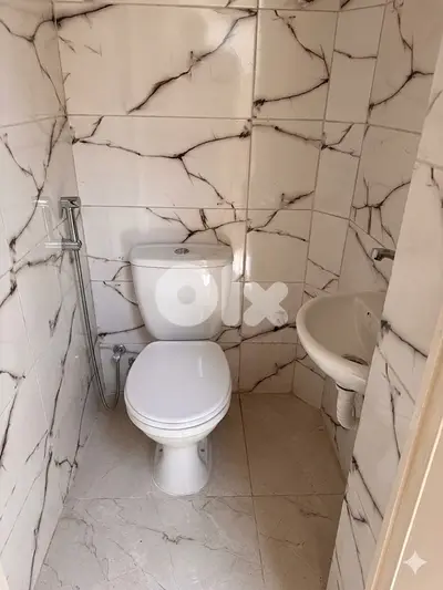 toilet seat lecico new