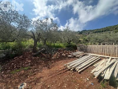 Land for Sale in Helta Batroun 650m² ONLY for 81K في حلتا