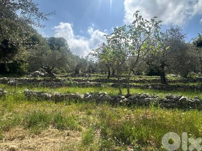 Land for Sale in Helta Batroun 1450m² ONLY for 115K في حلتا