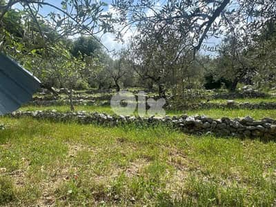 Land for Sale in Helta Batroun 1450m² ONLY for 115K في حلتا