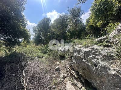Land for Sale in Helta Batroun 3000m² ONLY for 230K في حلتا