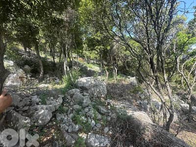 Land for Sale in Helta Batroun 3000m² ONLY for 230K في حلتا