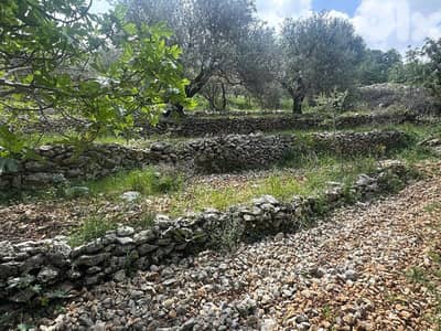 Land for Sale in Helta Batroun 400m² ONLY for 32K في حلتا