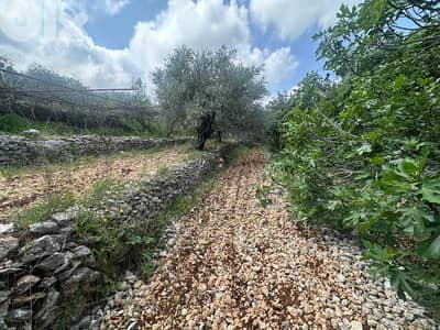 Land for Sale in Helta Batroun 400m² ONLY for 32K في حلتا