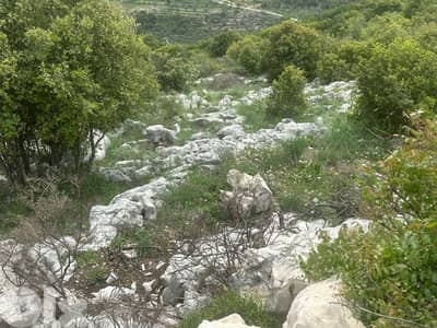 Land for Sale in Asia Batroun 1347m² ONLY for 81K في أسيا