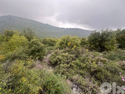 2 Lands for Sale in Nahla Batroun 718m² and 514m² ONLY for 65K في نحلة
