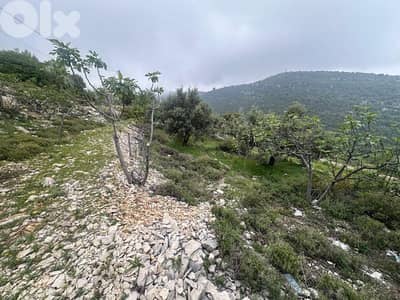 2 Lands for Sale in Nahla Batroun 718m² and 514m² ONLY for 65K في نحلة