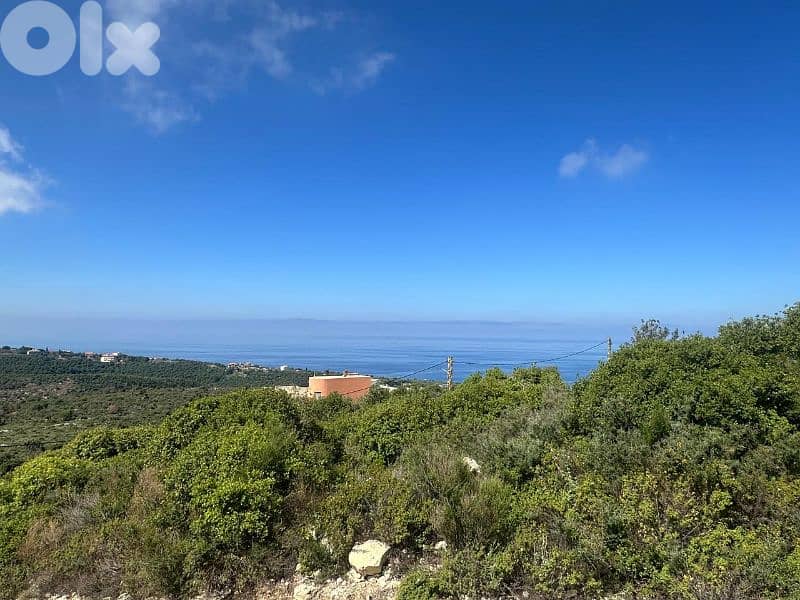 Land for Sale in Berbara 890m² with a 300m² building ONLY for 280K 7