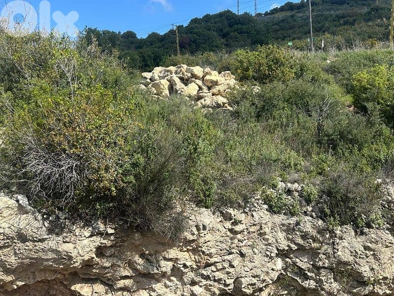 Land for Sale in Berbara 890m² with a 300m² building ONLY for 280K 9