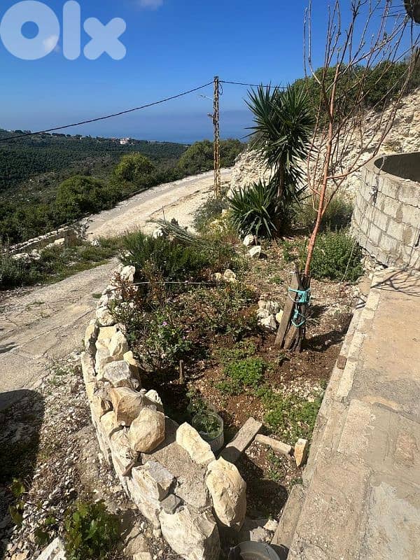 Land for Sale in Berbara 890m² with a 300m² building ONLY for 280K 15