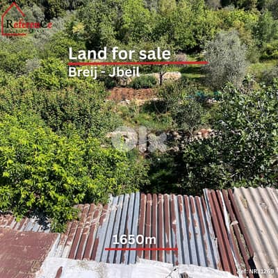 Land for sale in breij أرض للبيع في البريج
