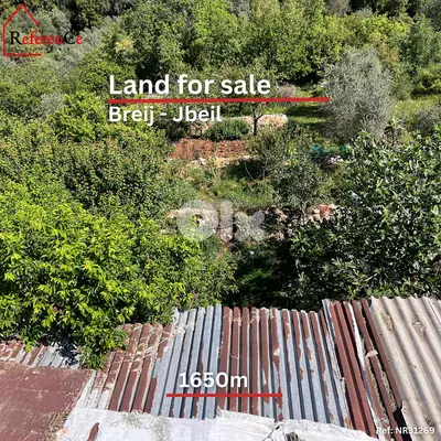 Land for sale in breij أرض للبيع في البريج