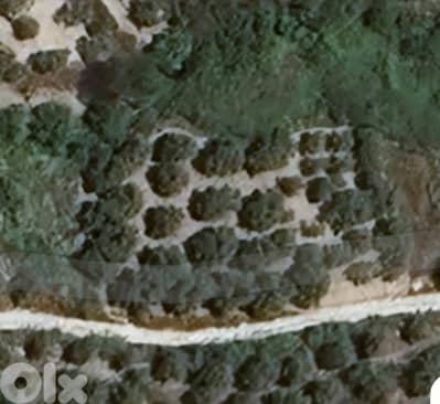 land for sale Darchmezzine