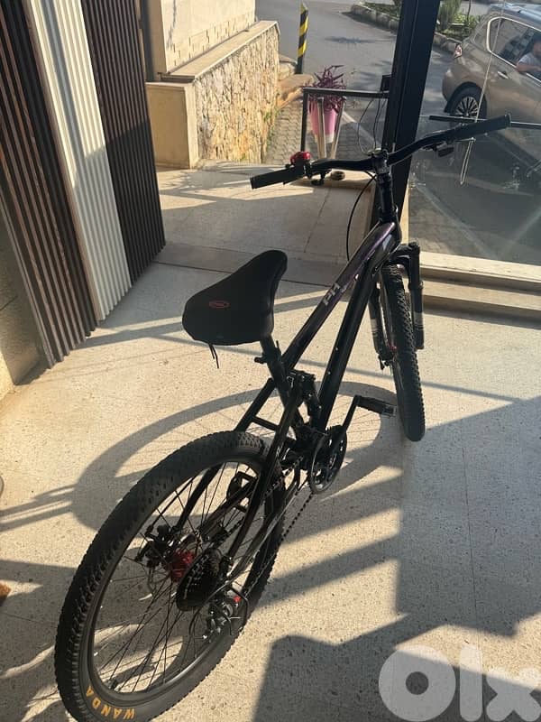 Bicycle + Car Bike Rack (Excellent Condition) 0