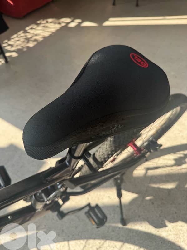 Bicycle + Car Bike Rack (Excellent Condition) 2