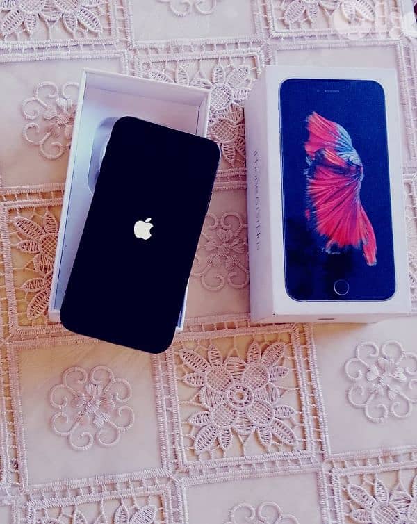 iPhone XR  transfer to 15 Pro 0