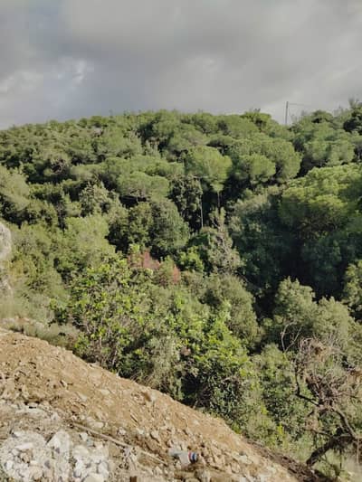 RWK177MF - Land for sale in Jeita with mountain view