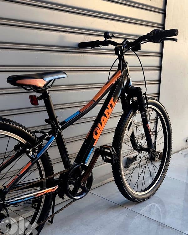 giant bicycle 24 0