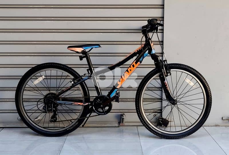 giant bicycle 24 2
